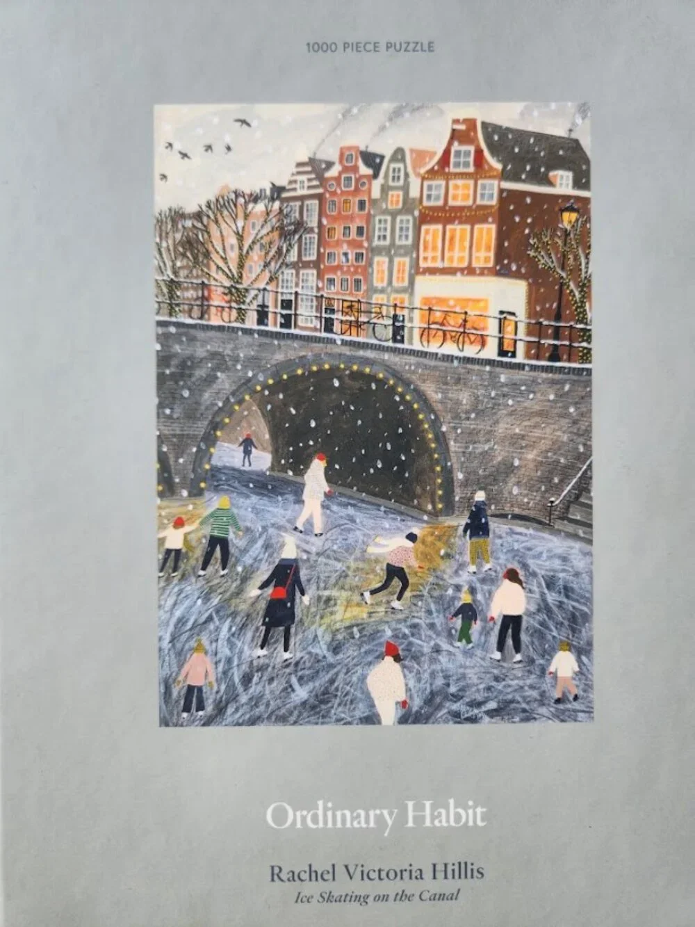Ice Skating on the Canal 1000 Piece Puzzle Ordinary Habit Rachel Victoria Hillis